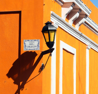 Excursion d'Une journée à Colonia au départ de Buenos Aires