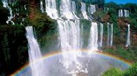 Full Day Tour to the Argentinian Falls and Photographic Safari in the Jungle from Puerto Iguazú