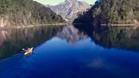 Half-Day Moreno Lake Kayak Tour from Bariloche