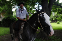 Journée avec les Gauchos au départ de Buenos Aires: ranch de Santa Susana