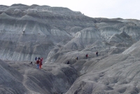 Randonnée dans la forêt pétrifiée de La Leona au départ d'El Calafate