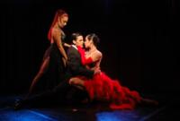 Rojo Tango Show with Optional Dinner in Buenos Aires