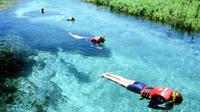 Sucuri River Snorkel Tour from Bonito