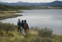  Tierra del Fuego Eco-Adventure: Beagle Channel Canoeing, Penguin Colony and Gable Island