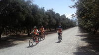 Tolombon Artisanal Wineries Bike Ride from Cafayate image 1 Tolombon Artisanal Wineries Bike Ride from Cafayate image 1