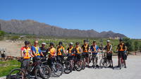 Wine Route Bike Tour with Wine Tasting from Cafayate image 1 Wine Route Bike Tour with Wine Tasting from Cafayate image 1