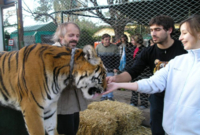 Zoo de Luján au départ de Buenos Aires, with possibility de caresser les tigres