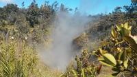 Hilo Hot Steam Volcano Tour