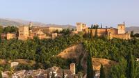Billet coupe-file pour visite guidée par un expert de l'Alhambra et des jardins du Generalife Billet coupe-file pour visite guidée par un expert de l'Alhambra et des jardins du Generalife