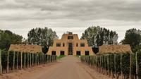 Catena Zapata Wine Tour from Mendoza