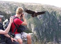 Mendoza-trekkingtur i Cordón del Plata med argentinsk Asado-frokost Mendoza-trekkingtur i Cordón del Plata med argentinsk Asado-frokost