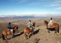 Paseo a caballo en Mendoza con asado argentino tradicional Paseo a caballo en Mendoza con asado argentino tradicional