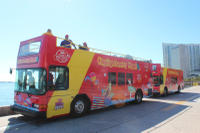 City Sightseeing Miami Hop-On Hop-Off Tour