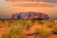 3-Day 4WD Tour from Alice Springs: Kings Canyon, Uluru (Ayers Rock) and Kata Tjuta