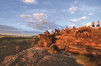 5 jours d'aventure en camping et 4X4 à Kakadu, aux Gorges de Katherine et au parc national de Litchfield