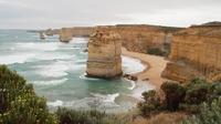 Melbourne Combo: Great Ocean Road Day Trip and Phillip Island Day Trip from Melbourne