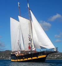 Pirate Day Cruise in British Virgin Islands