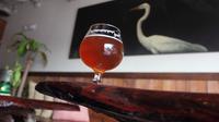 Orlando Arts et Brouillons avec Local Craft Beer Tasting
