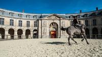 Dans les coulisses des écuries royales du château de Versailles