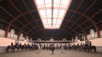 Unexpected Paris: Training of the French Horse Guards