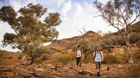 Imagen Flinders Ranges 3 Day 4WD Small Group Eco Tour from Adelaide