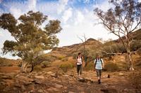 Salir de la ciudad,Actividades,Excursiones de más de un día,Actividades de aventura,Salidas a la naturaleza,Tour por Adelaida