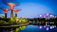 Eintrittskarte für die Gardens by the Bay in Singapur Eintrittskarte für die Gardens by the Bay in Singapur