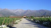 Aquitania and Cousino Macul Vineyards From Santiago