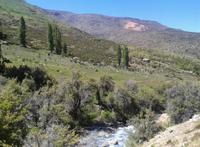 Yerba Loca Sanctuary Hiking Tour from Santiago