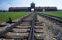 Auschwitz-Birkenau Small-Group Tour from Krakow