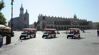 City package: Wawel Castle Guided Tour with Private Krakow Tour by Eco-Vehicle