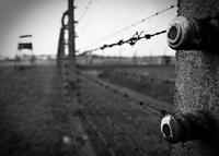 Cracovia superahorro: Auschwitz-Birkenau Tour from Krakow and 3 Museum Passes Cracovia superahorro: Auschwitz-Birkenau Tour from Krakow and 3 Museum Passes