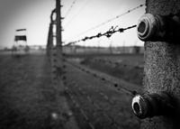 Offre spéciale Cracovie: visite d'Auschwitz-Birkenau et Pass pour le Musée d'histoire juive