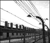 Private Tour: Auschwitz-Birkenau Tour from Krakow