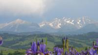 Visite guidée d'Une journée à Zakopane et DANS LES montagnes des Tatras au départ de Cracovie