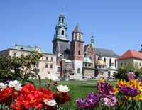 Visite à pied en petit groupe de la vieille ville de Cracovie, y compris de Rynek Glówny, de Mariacki et de la cathédrale de Wawel