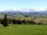 Visite privée: excursion d'Une journée aux montagnes de Tatra et Zakopane au départ de Cracovie