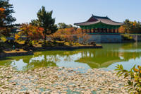 3-Day Tour from Seoul: Gyeongju and Busan