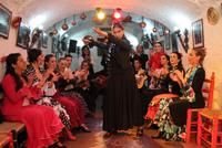 Spectacle Flamenco de Grenade à Sacromonte et balade à Albaicin