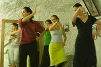 Visite privée: leçon de flamenco Dans la grotte de Sacromonte à Grenade