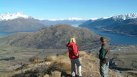 Half-Day Wakatipu Basin 4WD Tour from Queenstown