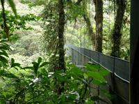 Forêt nuageuse de Monteverde et jardin des papillons au départ de Guanacaste