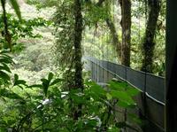 Monteverde Cloud Forest and Butterfly Garden from Guanacaste