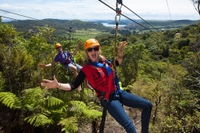 Excursion d'Une journée avec l'exploration et tyrolienne sur l'île de Waiheke au départ d'Auckland