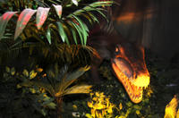 Dinoscovery and Aquaria KLCC Admission with Round-Trip Transfer