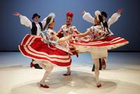 Hungarian Folk Performance in Budapest