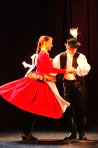 Spectacle folklorique et dîner-croisière sur le Danube à Budapest