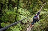 Aventure en tyrolienne Dans la canopée de la forêt de Rotorua