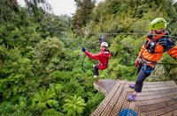 Rotorua Forest Zipline Canopy Adventure