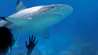 Zonder wachtrij entreebewijs voor SEA LIFE München Zonder wachtrij entreebewijs voor SEA LIFE München